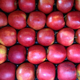 Jablko Red Prince 1 kg