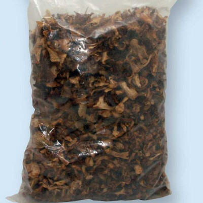 Lesní směs - pouze lesní houby 500 g