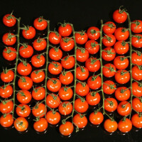 Rajčata cherry keříková 500 g - obrázek 2