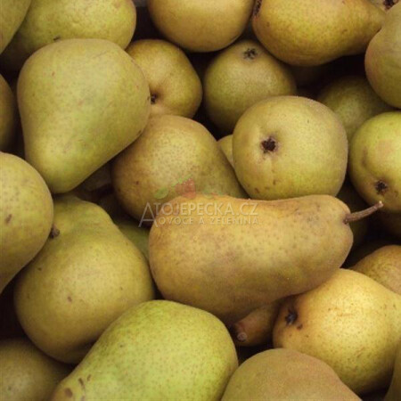 Hruška Durondeau 1 kg - hlavní obrázek