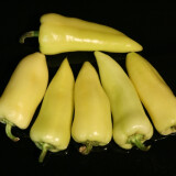 Paprika slovenská 500 g