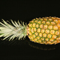 Ananas Super Sweet - obrázek 2