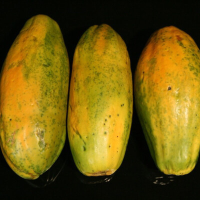Papája Formosa 1 kg