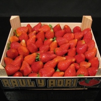Jahody 1 kg - obrázek 2