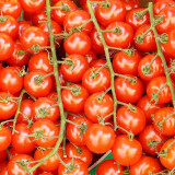 Rajčata cherry keříková 500 g