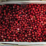 Brusinka 500 g