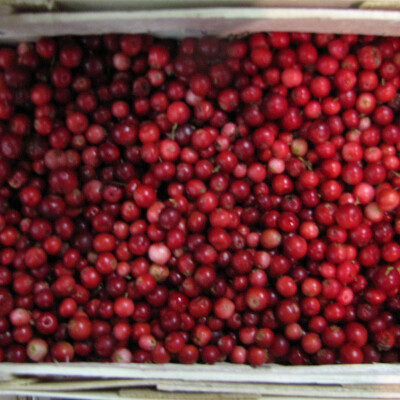 Brusinka 500 g