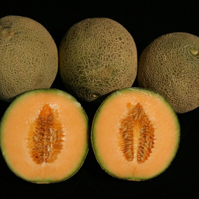 Meloun Cantaloupe 1 kg