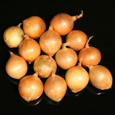 Cibule žlutá 1 kg