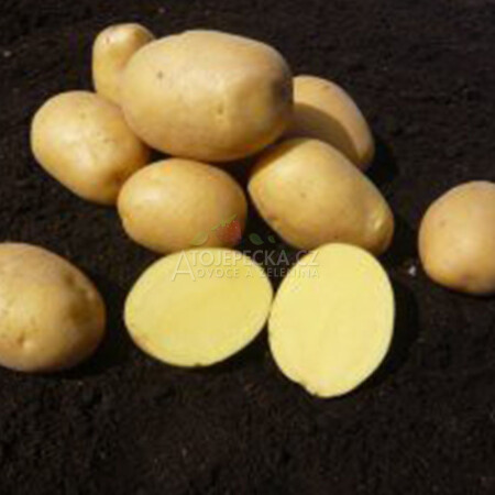 Brambory Marabel 1 kg - hlavní obrázek