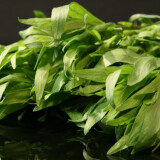 Estragon 100 g
